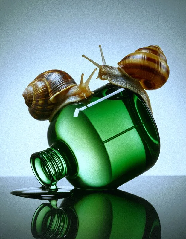 A surreal and photorealistic image of two snails with brown striped shells. One snail is crawling up the side of a spilled green perfume bottle, while the other is on top of it. The bottle is lying on a reflective surface with a puddle of liquid. The background is a soft gray gradient.